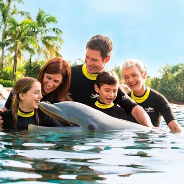 Discovery Cove