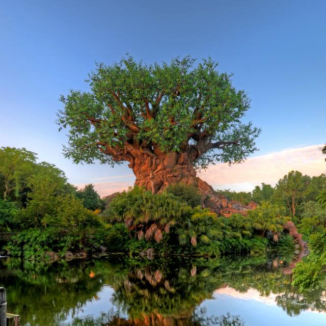 Disney's Animal Kingdom Park