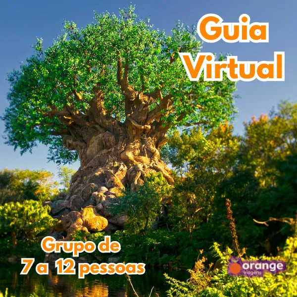 Guia Virtual Disney World